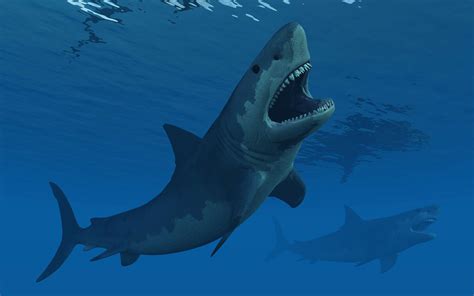 11 Facts About Megalodon, the Giant Prehistoric .
